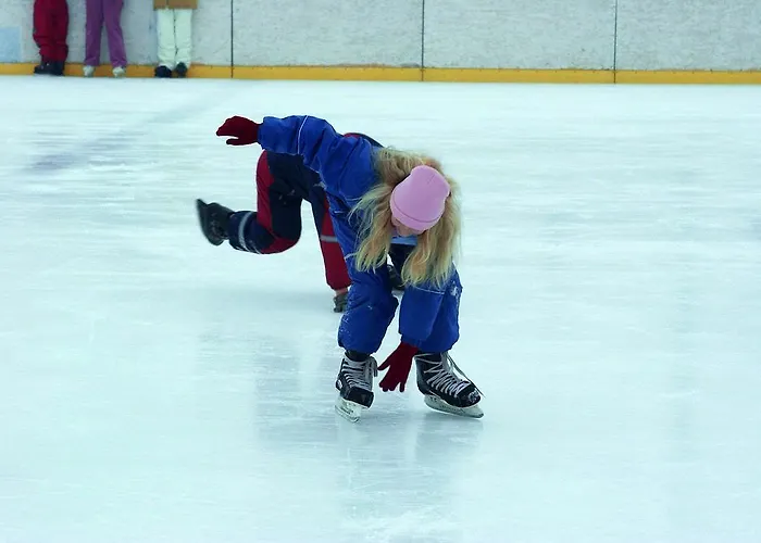 Hotel Des Nordens Flensburg Wellness & 4*